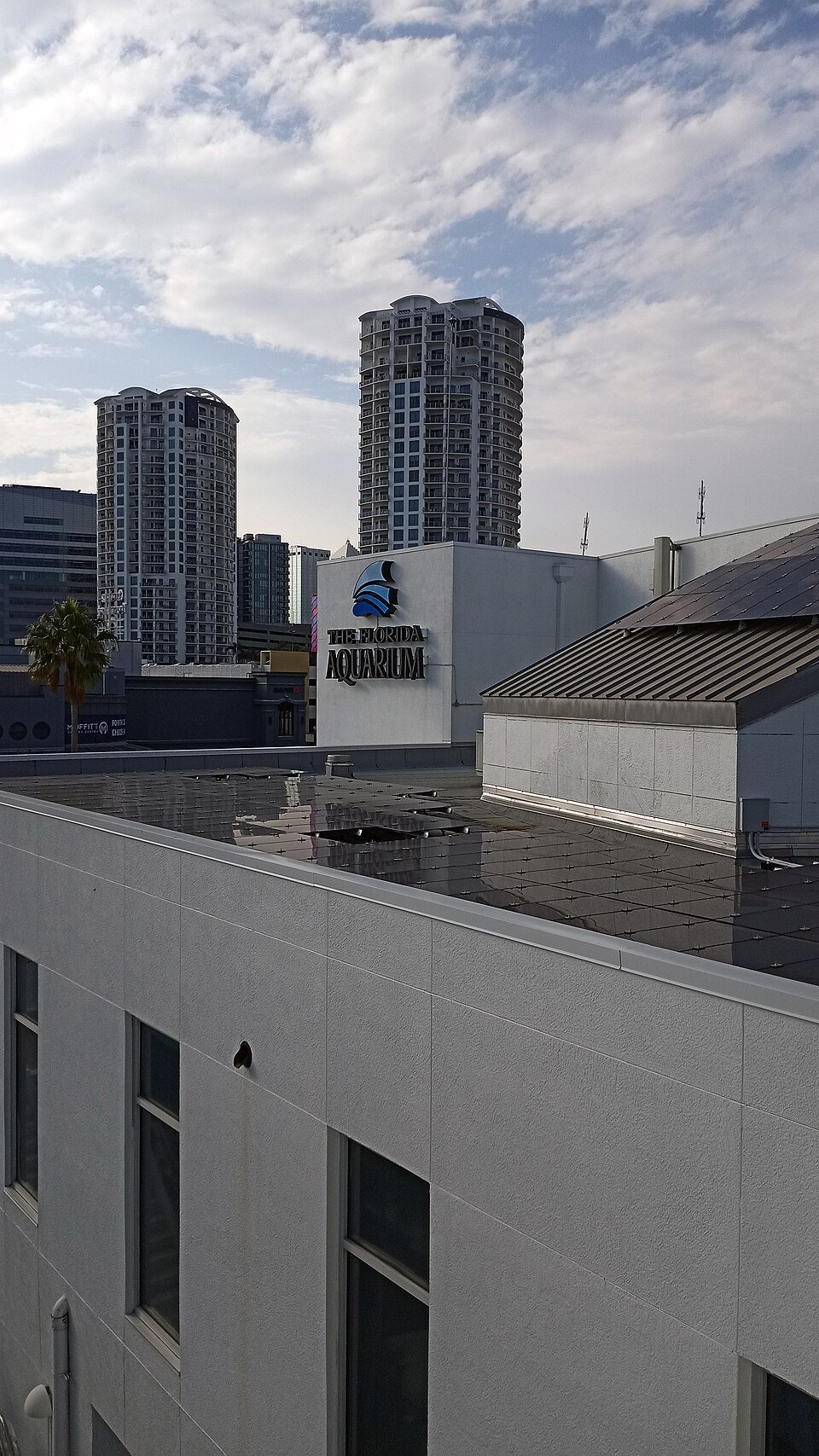 The Florida Aquarium